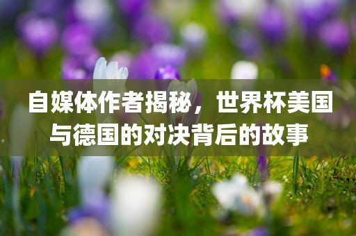 自媒体作者揭秘，世界杯美国与德国的对决背后的故事眉山市正发家政服务有限公司