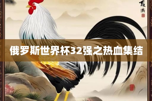 俄罗斯世界杯32强之热血集结