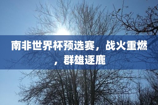 南非世界杯预选赛，战火重燃，群雄逐鹿眉山市正发家政服务有限公司