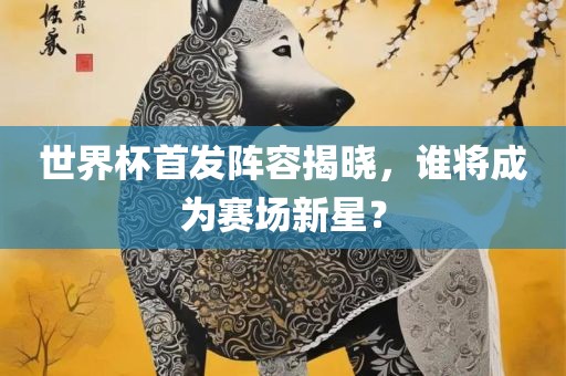 世界杯首发阵容揭晓，谁将成为赛场新星？