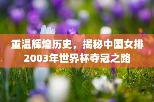 重温辉煌历史，揭秘中国女排200眉山市正发家政服务有限公司3年世界杯夺冠之路
