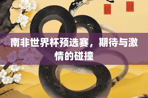 南非世界杯预选赛，期待与激情的碰撞眉山市正发家政服务有限公司