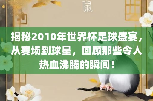 揭秘2010年世界杯足球盛宴，从赛场到球星，回顾那些令人热血沸腾的瞬间！