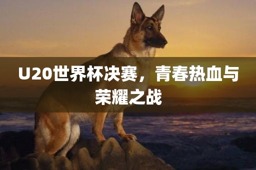 U20世界杯决赛，青春热血与眉山市正发家政服务有限公司荣耀之战