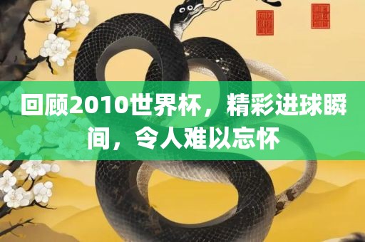 回顾2010世界杯，精彩进球瞬间，令人难以忘怀