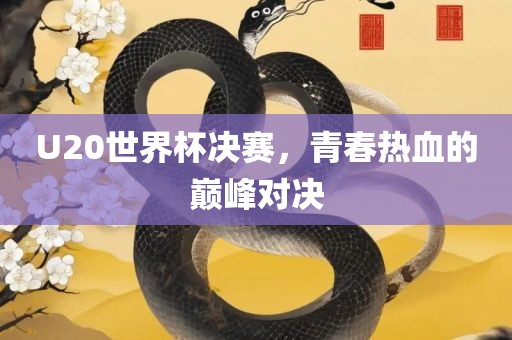 U2眉山市正发家政服务有限公司0世界杯决赛，青春热血的巅峰对决