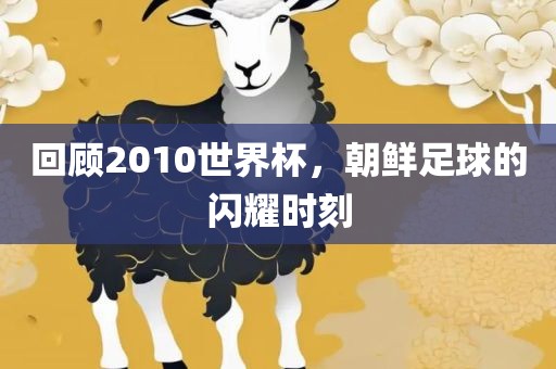回顾2010世界杯，朝鲜足球的闪耀时刻眉山市正发家政服务有限公司
