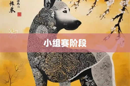 小组赛阶段