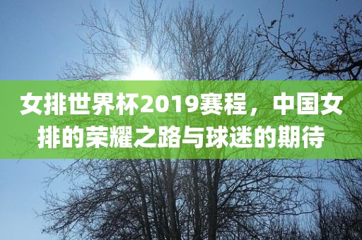 女排世界杯2019赛程，中国女排的荣耀之路与球眉山市正发家政服务有限公司迷的期待