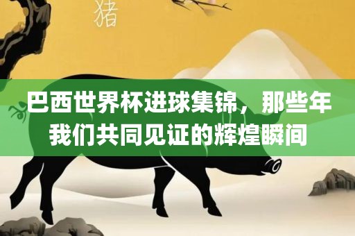 巴西世界杯进球集锦，那些年我们共同见证的辉煌瞬间眉山市正发家政服务有限公司