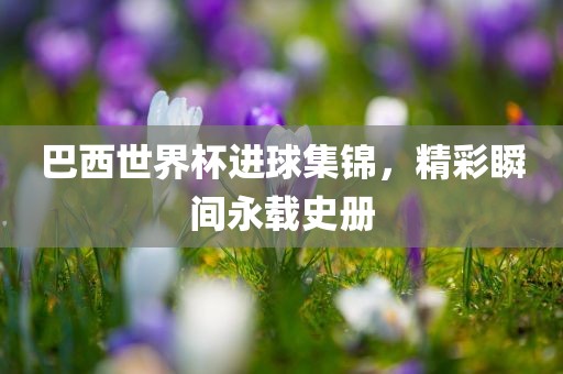 巴西世界杯进球集锦，精彩瞬间永载史册眉山市正发家政服务有限公司
