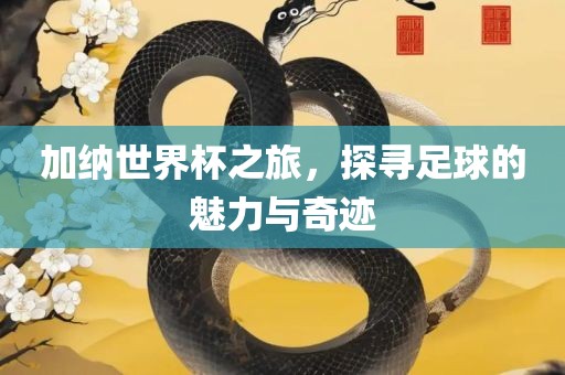 加纳世界杯之旅，探寻足球的魅力与奇迹眉山市正发家政服务有限公司