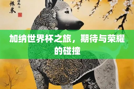 加纳世界杯之旅，期待与荣耀的碰撞