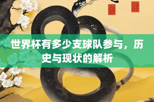 世界杯有多少支球眉山市正发家政服务有限公司队参与，历史与现状的解析