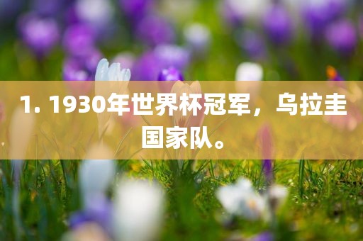 1. 1930年世界杯冠军，乌拉圭国家队。