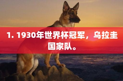 1. 1930年世界杯冠军，乌拉圭国家队。眉山市正发家政服务有限公司