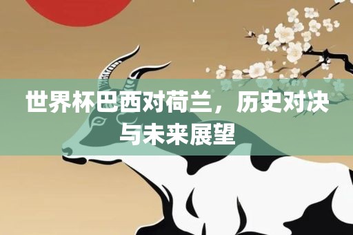 世界杯巴西对荷兰，历史对决与未来展望眉山市正发家政服务有限公司