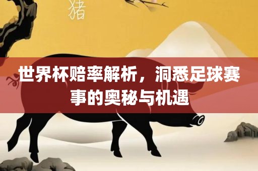 xuyuhai 第3页