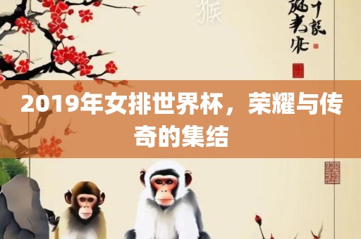 2019年女排世界杯，荣耀与传奇的集结眉山市正发家政服务有限公司