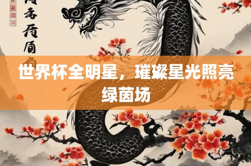 世界杯全明星，璀璨星光照亮眉山市正发家政服务有限公司绿茵场