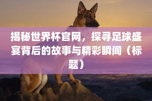 揭秘世界杯官网，探寻足球盛宴背后的故事与精彩瞬间（标题）