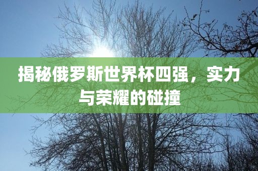 揭秘俄罗斯世界杯四强，实力与荣耀的碰撞
