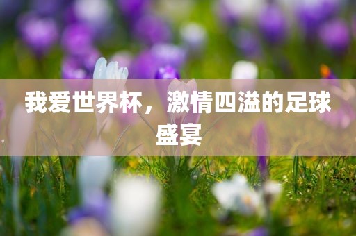 我爱世界杯，激情四溢的足球盛宴眉山市正发家政服务有限公司