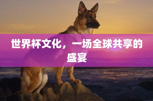 世界杯文化，一场全球共享的盛宴