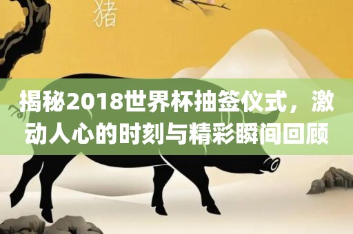 揭秘2018世界杯抽签仪式，激动人心的时刻与精彩瞬间回顾