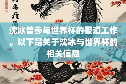 沈冰曾参与世界杯的报道工作。以下是关于沈冰与世界杯的相关信息