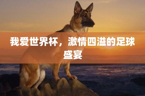 我爱世界杯，激情四溢的足眉山市正发家政服务有限公司球盛宴