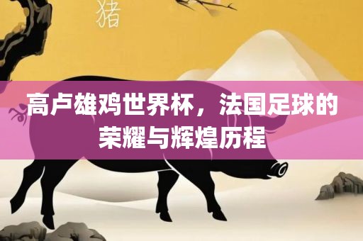 眉山市正发家政服务有限公司高卢雄鸡世界杯，法国足球的荣耀与辉煌历程