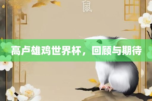 高卢雄鸡世界杯，回顾与期待