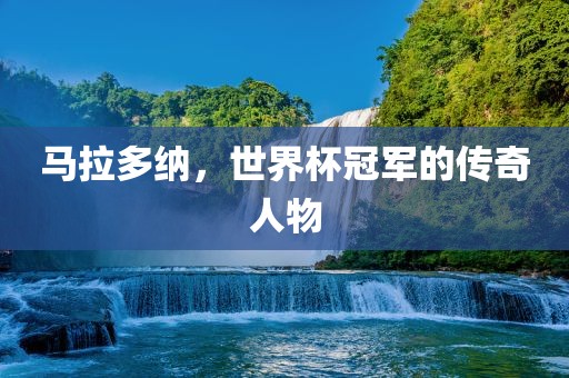 马拉多纳，世界杯冠军的传奇人物