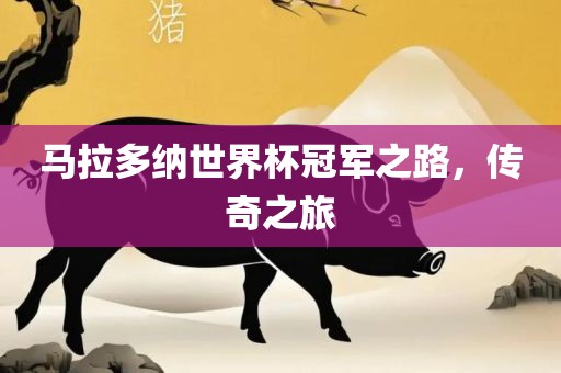 马拉多纳世界杯冠军之路，传奇之旅