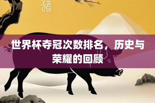 世界杯夺冠次数排名，历史与荣耀的回顾眉山市正发家政服务有限公司