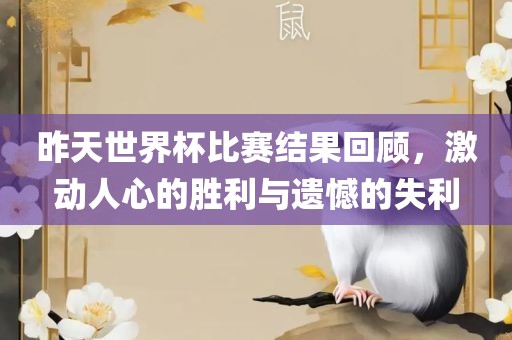 昨天世界杯比赛结果回顾，激动人心的胜利与遗憾的失利眉山市正发家政服务有限公司
