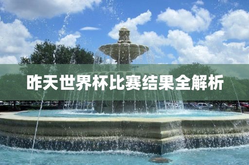 昨天世界杯比赛结果全解析