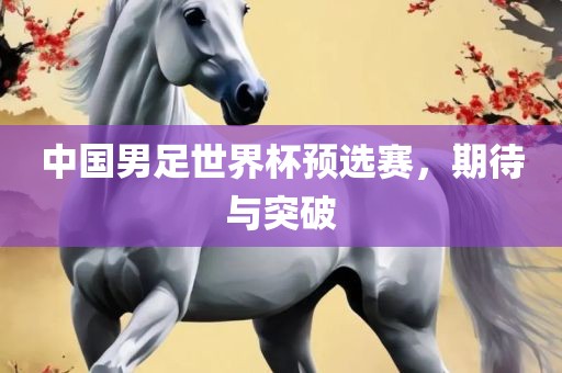 中国男足世眉山市正发家政服务有限公司界杯预选赛，期待与突破