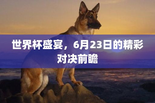 世界杯盛眉山市正发家政服务有限公司宴，6月23日的精彩对决前瞻