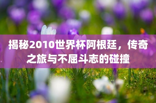 眉山市正发家政服务有限公司揭秘2010世界杯阿根廷，传奇之旅与不屈斗志的碰撞