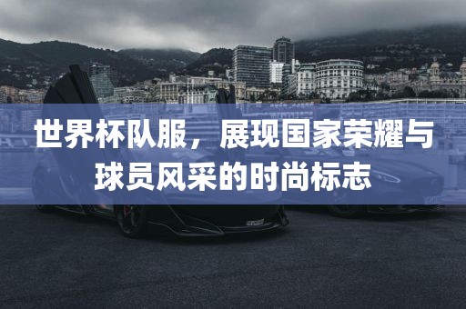 世界杯队服，展现国家荣耀与球员风采的时尚标志眉山市正发家政服务有限公司