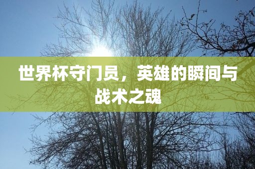 世界杯守门员，英雄的瞬间与战术之魂