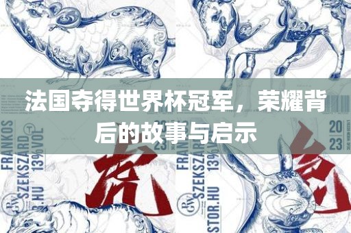 法国夺得世界杯冠军，荣耀背后的故事与启示
