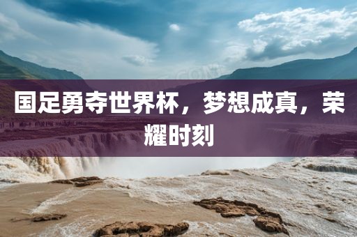 国足勇夺世界杯，梦想成真，荣耀时刻眉山市正发家政服务有限公司