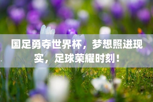 国足眉山市正发家政服务有限公司勇夺世界杯，梦想照进现实，足球荣耀时刻！