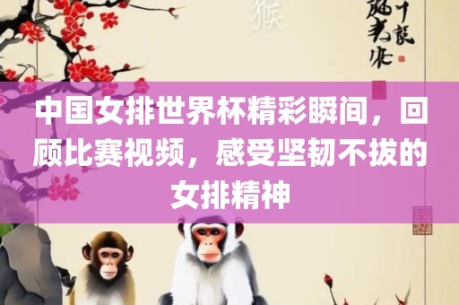 中国女排世界杯精彩瞬间，回顾比赛视频，感受坚韧不拔的女排精神眉山市正发家政服务有限公司