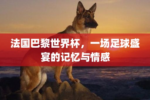 法国巴黎世界杯，一场足球盛宴的记忆与情感眉山市正发家政服务有限公司