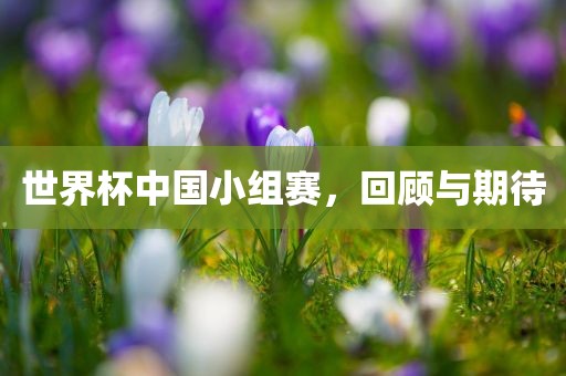 世界杯中国小组赛，回顾眉山市正发家政服务有限公司与期待