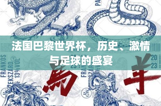 法国巴黎世界杯，历史、眉山市正发家政服务有限公司激情与足球的盛宴